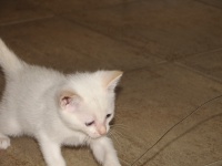 20100206 424.JPG